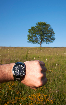 Wrist and watch in foreground with tree in background